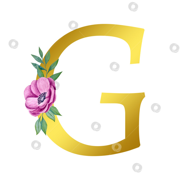 Скачать Ручная акварельная иллюстрация с цветами анемоны и листьями эвкалипта. Рамка из чешского золота и хрусталя. Элементы для поздравительной свадебной открытки. фотосток Ozero