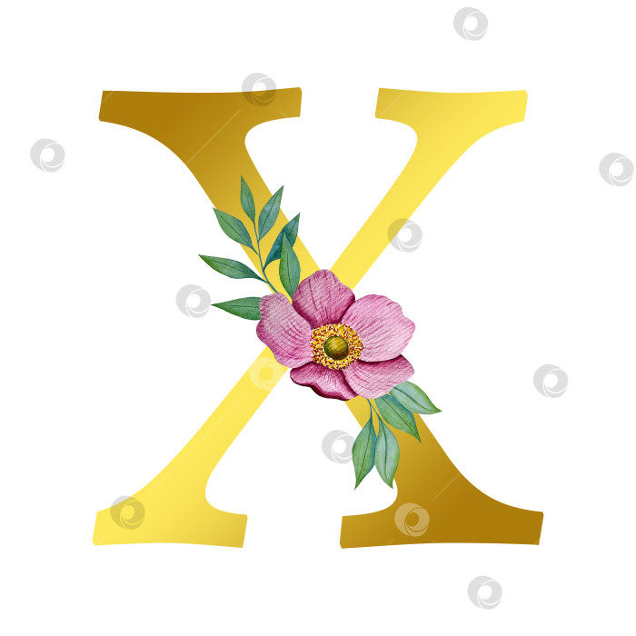 Скачать Ручная акварельная иллюстрация с цветами анемоны и листьями эвкалипта. Рамка из чешского золота и хрусталя. Элементы для поздравительной открытки на свадьбу. фотосток Ozero