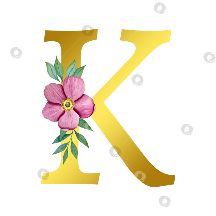 Скачать Ручная акварельная иллюстрация с цветами анемоны и листьями эвкалипта. Рамка из чешского золота и хрусталя. Элементы для поздравительной открытки на свадьбу. фотосток Ozero