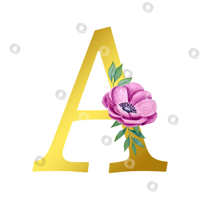 Скачать Ручная акварельная иллюстрация с цветами анемоны и листьями эвкалипта. Рамка из чешского золота и хрусталя. Элементы для поздравительной открытки на свадьбу. фотосток Ozero