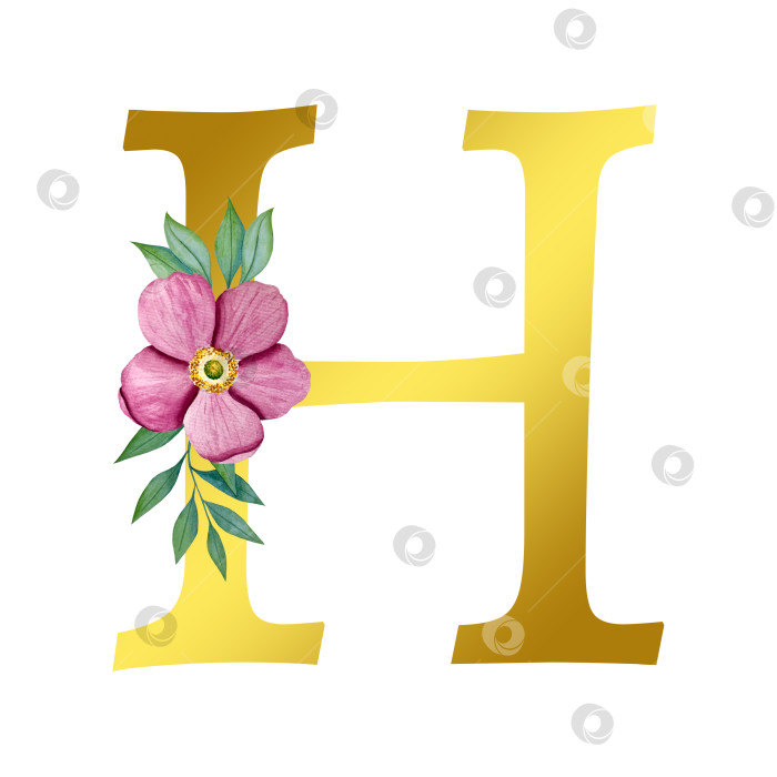 Скачать Ручная акварельная иллюстрация с цветами анемоны и листьями эвкалипта. Рамка из чешского золота и хрусталя. Элементы для поздравительной свадебной открытки. фотосток Ozero