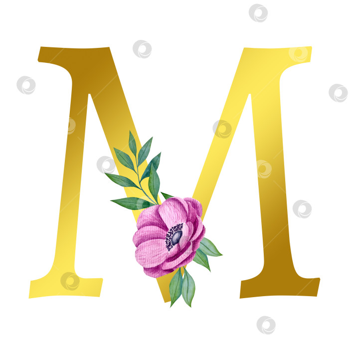 Скачать Ручная акварельная иллюстрация с цветами анемоны и листьями эвкалипта. Рамка из чешского золота и хрусталя. Элементы для поздравительной свадебной открытки. фотосток Ozero