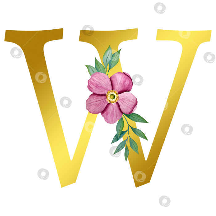 Скачать Ручная акварельная иллюстрация с цветами анемоны и листьями эвкалипта. Рамка из чешского золота и хрусталя. Элементы для поздравительной свадебной открытки. фотосток Ozero