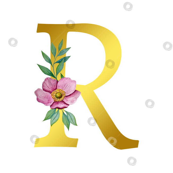 Скачать Ручная акварельная иллюстрация с цветами анемоны и листьями эвкалипта. Рамка из чешского золота и хрусталя. Элементы для поздравительной свадебной открытки. фотосток Ozero