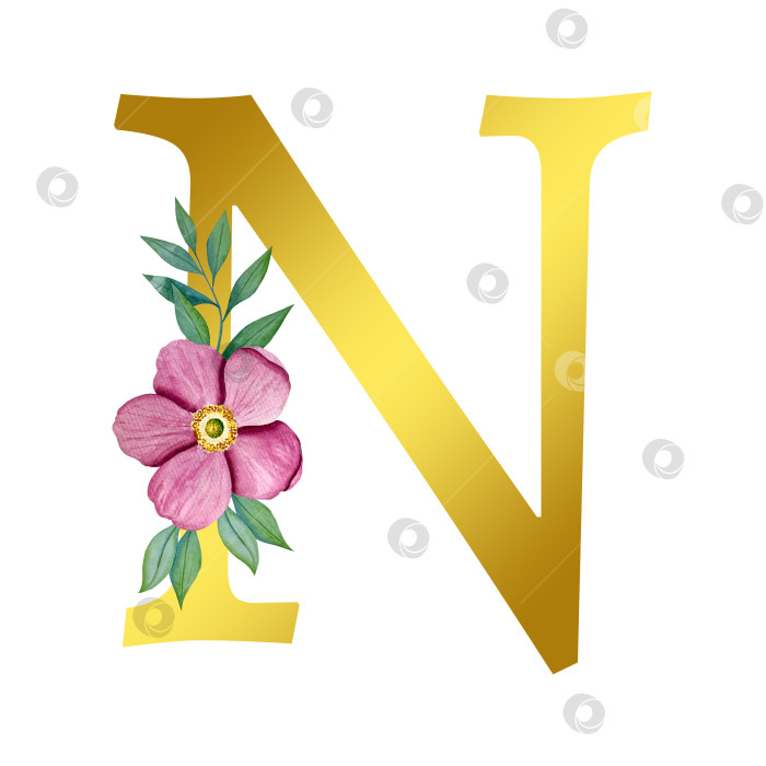 Скачать Ручная акварельная иллюстрация с цветами анемоны и листьями эвкалипта. Рамка из чешского золота и хрусталя. Элементы для поздравительной открытки на свадьбу. фотосток Ozero