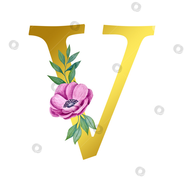 Скачать Ручная акварельная иллюстрация с цветами анемоны и листьями эвкалипта. Рамка из чешского золота и хрусталя. Элементы для поздравительной свадебной открытки. фотосток Ozero