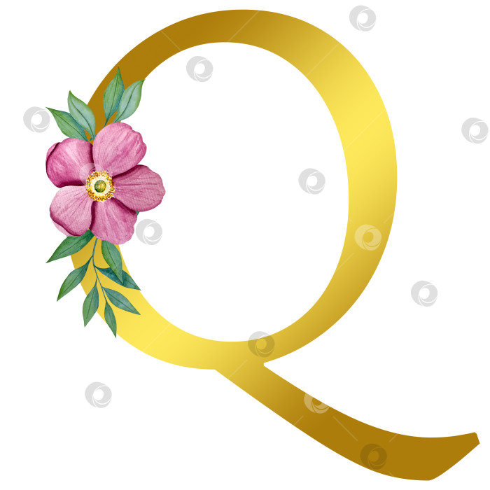 Скачать Ручная акварельная иллюстрация с цветами анемоны и листьями эвкалипта. Рамка из чешского золота и хрусталя. Элементы для поздравительной открытки на свадьбу. фотосток Ozero