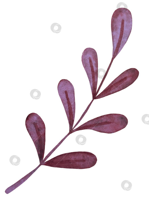 Скачать Набор акварельных иллюстраций с мифическими эзотерическими элементами и духовными колдовскими предметами. Книга заклинаний, небесные кристаллы, зелья, свечи, грибы, карты Таро. Идеально подходит для фэнтезийного дизайна и колдовских визуальных эффектов фотосток Ozero