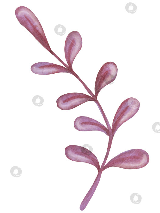 Скачать Набор акварельных иллюстраций с мифическими эзотерическими элементами и духовными колдовскими предметами. Книга заклинаний, небесные кристаллы, зелья, свечи, грибы, карты Таро. Идеально подходит для фэнтезийного дизайна и колдовских визуальных эффектов фотосток Ozero