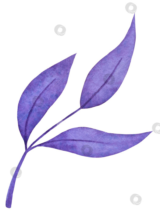 Скачать Набор акварельных иллюстраций с мифическими эзотерическими элементами и духовными колдовскими предметами. Книга заклинаний, небесные кристаллы, зелья, свечи, грибы, карты Таро. Идеально подходит для фэнтезийного дизайна и колдовских визуальных эффектов фотосток Ozero