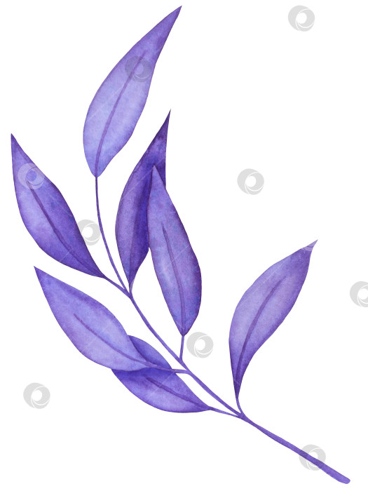 Скачать Набор акварельных иллюстраций с мифическими эзотерическими элементами и духовными колдовскими предметами. Книга заклинаний, небесные кристаллы, зелья, свечи, грибы, карты Таро. Идеально подходит для фэнтезийного дизайна и колдовских визуальных эффектов фотосток Ozero