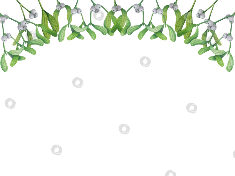 Скачать Набор ярких акварельных иллюстраций с изображением омелы и ягод остролиста. Коллекция акварельных веток, листьев и ягод рождественской елки для новогодних поздравительных открыток и оформления баннеров фотосток Ozero