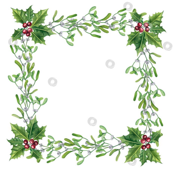 Скачать Набор ярких акварельных иллюстраций с изображением омелы и ягод остролиста. Коллекция акварельных веток, листьев и ягод рождественской елки для новогодних поздравительных открыток и оформления баннеров фотосток Ozero