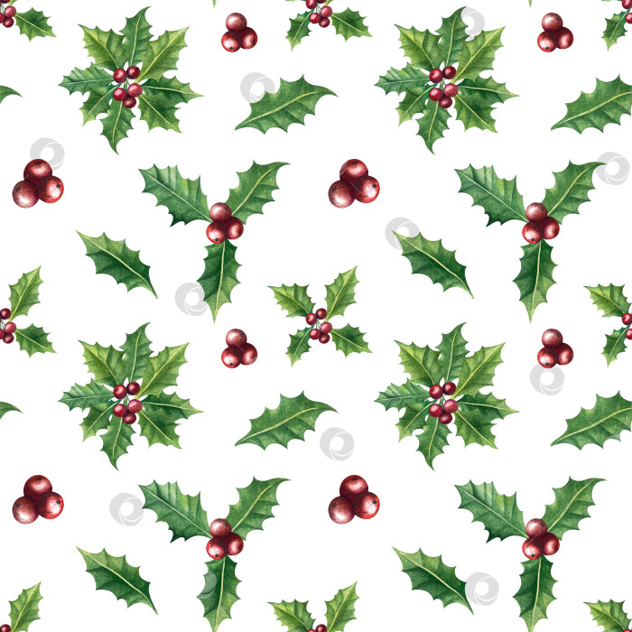 Скачать Набор ярких акварельных иллюстраций с изображением омелы и ягод остролиста. Коллекция акварельных веток, листьев и ягод рождественской елки для новогодних поздравительных открыток и оформления баннеров фотосток Ozero