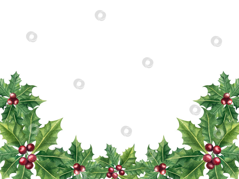 Скачать Набор ярких акварельных иллюстраций с изображением омелы и ягод остролиста. Коллекция акварельных веток, листьев и ягод рождественской елки для новогодних поздравительных открыток и оформления баннеров фотосток Ozero
