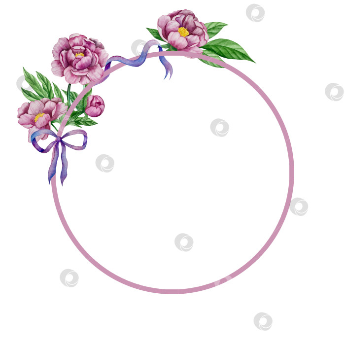 Скачать Розовые садовые цветы на белом фоне, акварельная иллюстрация. Розовый цветочный букет, бордовые пионы в обрамлении. сиреневая гортензия, рамка, венок. Летний дизайн. Приглашение на свадьбу фотосток Ozero