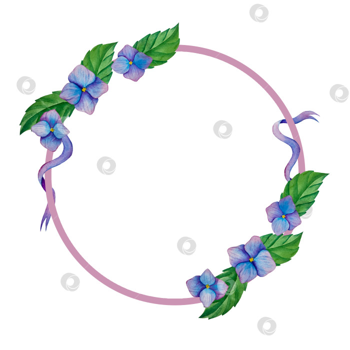 Скачать Розовые садовые цветы на белом фоне, акварельная иллюстрация. Розовый цветочный букет, бордовые пионы в обрамлении. сиреневая гортензия, рамка, венок. Летний дизайн. Приглашение на свадьбу фотосток Ozero