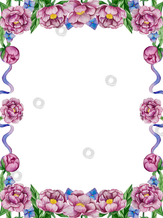 Скачать Розовые садовые цветы на белом фоне, иллюстрация акварелью. Розовый цветочный букет, бордовые пионы в обрамлении. сиреневая гортензия, рамка, венок. Летний дизайн. Приглашение на свадьбу фотосток Ozero