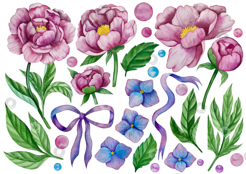 Скачать Розовые садовые цветы на белом фоне, акварельная иллюстрация. Розовый цветочный букет, бордовые пионы в обрамлении. сиреневая гортензия, рамка, венок. Летний дизайн. Приглашение на свадьбу фотосток Ozero