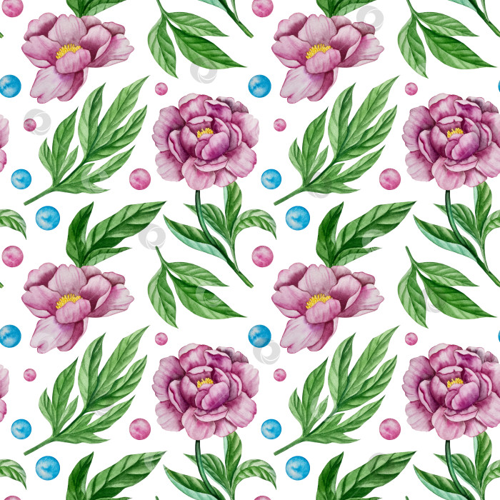 Скачать Розовые садовые цветы на белом фоне, акварельная иллюстрация. Розовый цветочный букет, бордовые пионы в обрамлении. сиреневая гортензия, рамка, венок. Летний дизайн. Приглашение на свадьбу фотосток Ozero