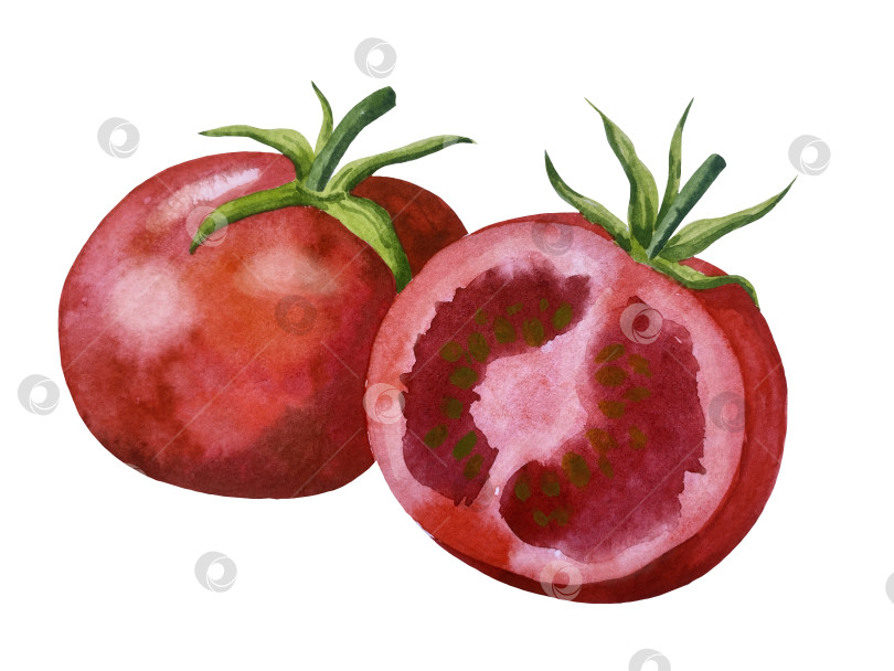 Скачать Акварельная иллюстрация пиццы и набора иллюстраций ингредиентов. Нарисованная от руки итальянская еда быстрого приготовления на белом фоне. фотосток Ozero