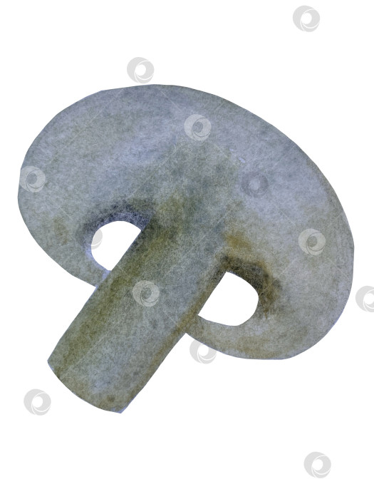 Скачать Акварельная иллюстрация пиццы и набора иллюстраций ингредиентов. Нарисованная от руки итальянская еда быстрого приготовления на белом фоне. фотосток Ozero