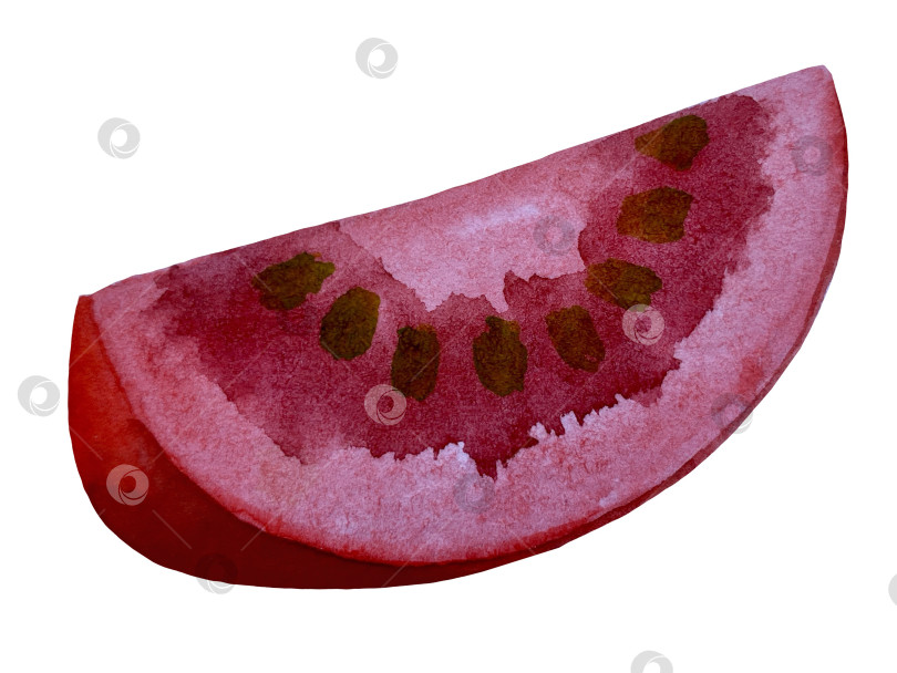 Скачать Акварельная иллюстрация пиццы и набора иллюстраций ингредиентов. Нарисованная от руки итальянская еда быстрого приготовления на белом фоне. фотосток Ozero