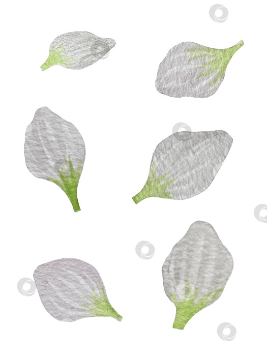 Скачать Акварельный клипарт с клубникой. Выделенная клубника, красные ягоды и листья на белом фоне. Реалистичная иллюстрация ручной росписи для чая, варенья или этикетки натуральной косметики фотосток Ozero