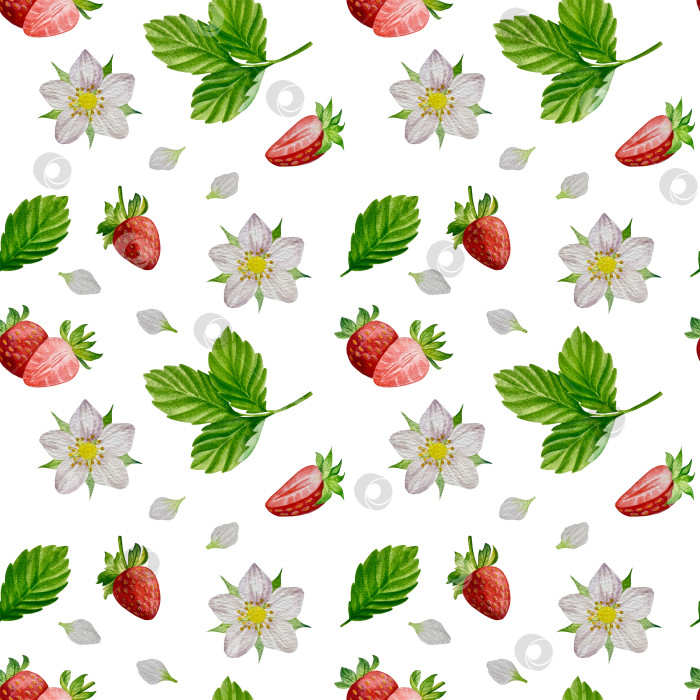 Скачать Акварельный клипарт с клубникой. Выделенная клубника, красные ягоды и листья на белом фоне. Реалистичная иллюстрация ручной росписи для чая, варенья или этикетки натуральной косметики фотосток Ozero