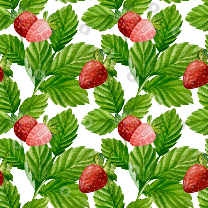 Скачать Акварельный клипарт с клубникой. Выделенная клубника, красные ягоды и листья на белом фоне. Реалистичная иллюстрация ручной росписи для чая, варенья или этикетки натуральной косметики фотосток Ozero