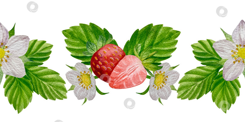 Скачать Акварельный клипарт с клубникой. Выделенная клубника, красные ягоды и листья на белом фоне. Реалистичная иллюстрация ручной росписи для чая, варенья или этикетки натуральной косметики фотосток Ozero