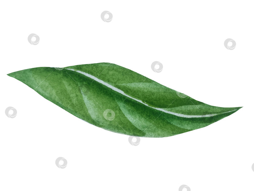 Скачать Летний пляжный набор, нарисованный акварелью от руки, с элементами прибрежного курорта, такими как пальма, пляжный зонт, коктейли, ракушки, солнцезащитные очки, шляпа и цветы. Элементы для дизайна открыток, упаковки, веб-сайта. фотосток Ozero