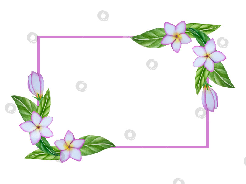 Скачать Летний пляжный набор, нарисованный акварелью от руки, с элементами прибрежного курорта, такими как пальма, пляжный зонт, коктейли, ракушки, солнцезащитные очки, шляпа и цветы. Элементы для дизайна открыток, упаковки, веб-сайта. фотосток Ozero