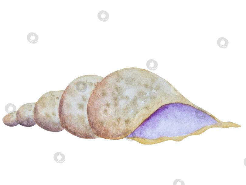 Скачать Летний пляжный набор, нарисованный акварелью от руки, с элементами прибрежного курорта, такими как пальма, пляжный зонт, коктейли, ракушки, солнцезащитные очки, шляпа и цветы. Элементы для дизайна открыток, упаковки, веб-сайта. фотосток Ozero