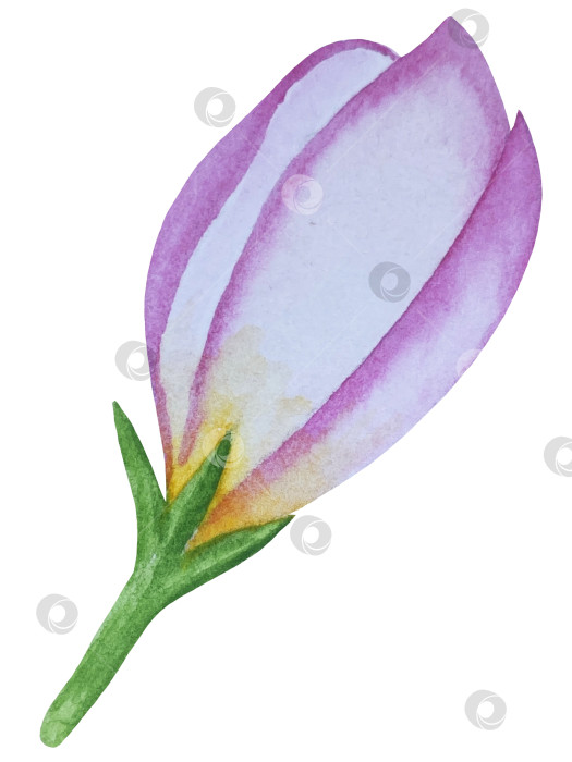 Скачать Летний пляжный набор, нарисованный акварелью от руки, с элементами прибрежного курорта, такими как пальма, пляжный зонт, коктейли, ракушки, солнцезащитные очки, шляпа и цветы. Элементы для дизайна открыток, упаковки, веб-сайта. фотосток Ozero