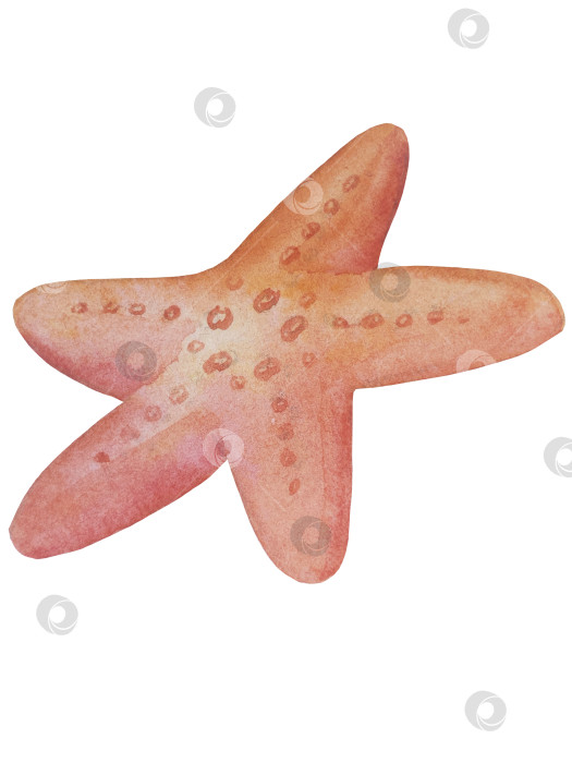 Скачать Летний пляжный набор, нарисованный акварелью от руки, с элементами прибрежного курорта, такими как пальма, пляжный зонт, коктейли, ракушки, солнцезащитные очки, шляпа и цветы. Элементы для дизайна открыток, упаковки, веб-сайта. фотосток Ozero