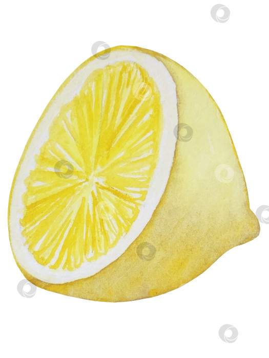 Скачать Летний пляжный набор, нарисованный акварелью от руки, с элементами прибрежного курорта, такими как пальма, пляжный зонт, коктейли, ракушки, солнцезащитные очки, шляпа и цветы. Элементы для дизайна открыток, упаковки, веб-сайта. фотосток Ozero