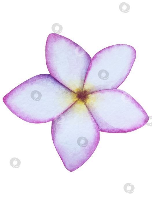 Скачать Летний пляжный набор, нарисованный акварелью от руки, с элементами прибрежного курорта, такими как пальма, пляжный зонт, коктейли, ракушки, солнцезащитные очки, шляпа и цветы. Элементы для дизайна открыток, упаковки, веб-сайта. фотосток Ozero