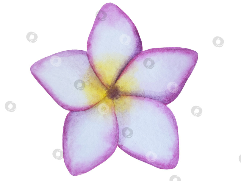 Скачать Летний пляжный набор, нарисованный акварелью от руки, с элементами прибрежного курорта, такими как пальма, пляжный зонт, коктейли, ракушки, солнцезащитные очки, шляпа и цветы. Элементы для дизайна открыток, упаковки, веб-сайта. фотосток Ozero