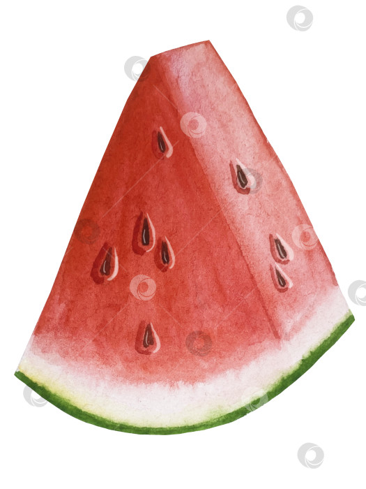 Скачать Летний пляжный набор, нарисованный акварелью от руки, с элементами прибрежного курорта, такими как пальма, пляжный зонт, коктейли, ракушки, солнцезащитные очки, шляпа и цветы. Элементы для дизайна открыток, упаковки, веб-сайта. фотосток Ozero