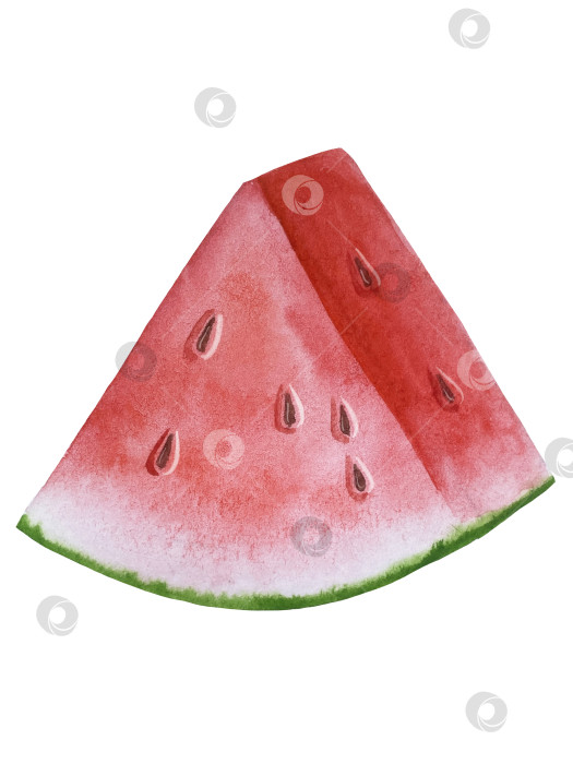 Скачать Летний пляжный набор, нарисованный акварелью от руки, с элементами прибрежного курорта, такими как пальма, пляжный зонт, коктейли, ракушки, солнцезащитные очки, шляпа и цветы. Элементы для дизайна открыток, упаковки, веб-сайта. фотосток Ozero