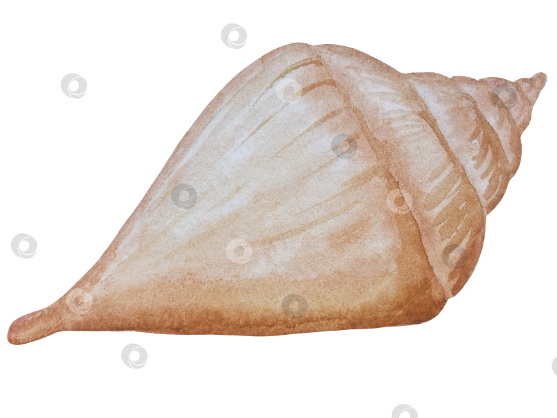 Скачать Летний пляжный набор, нарисованный акварелью от руки, с элементами прибрежного курорта, такими как пальма, пляжный зонт, коктейли, ракушки, солнцезащитные очки, шляпа и цветы. Элементы для дизайна открыток, упаковки, веб-сайта. фотосток Ozero