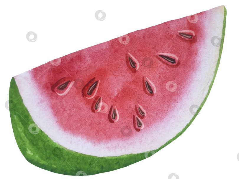 Скачать Летний пляжный набор, нарисованный акварелью от руки, с элементами прибрежного курорта, такими как пальма, пляжный зонт, коктейли, ракушки, солнцезащитные очки, шляпа и цветы. Элементы для дизайна открыток, упаковки, веб-сайта. фотосток Ozero