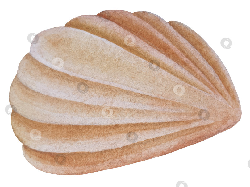 Скачать Летний пляжный набор, нарисованный акварелью от руки, с элементами прибрежного курорта, такими как пальма, пляжный зонт, коктейли, ракушки, солнцезащитные очки, шляпа и цветы. Элементы для дизайна открыток, упаковки, веб-сайта. фотосток Ozero