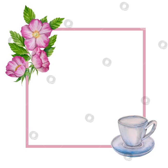 Скачать Свежие листья зеленого чая, чашка чая и чайник для заваривания, набор для чаепития с цветами и ягодами шиповника. Иллюстрация к Международному дню чая. Отдельные элементы, нарисованные акварелью от руки. фотосток Ozero