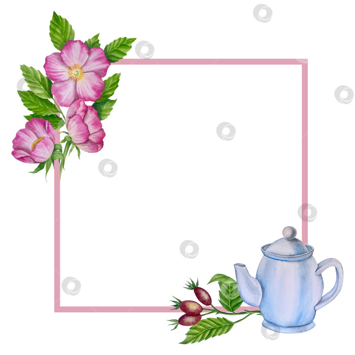 Скачать Свежие листья зеленого чая, чашка чая и чайник для заваривания, набор для чаепития с цветами и ягодами шиповника. Иллюстрация к Международному дню чая. Отдельные элементы, нарисованные акварелью от руки. фотосток Ozero