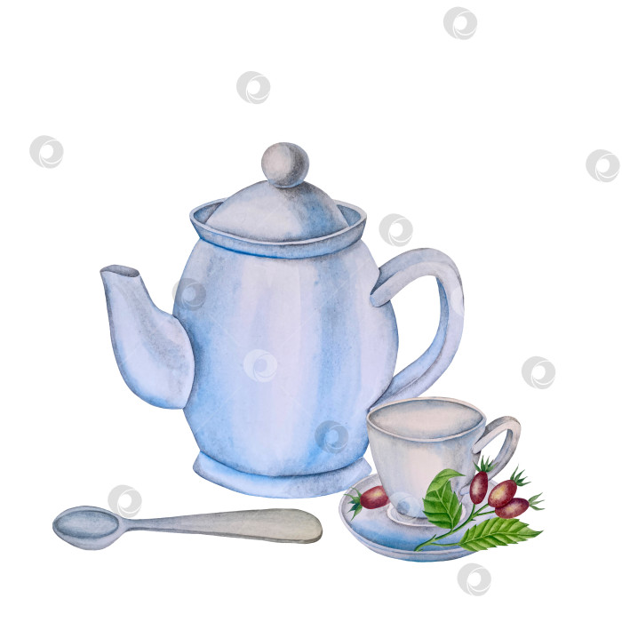 Скачать Свежие листья зеленого чая, чашка чая и чайник для заваривания, набор для чаепития с цветами и ягодами шиповника. Иллюстрация к Международному дню чая. Отдельные элементы, нарисованные акварелью от руки. фотосток Ozero
