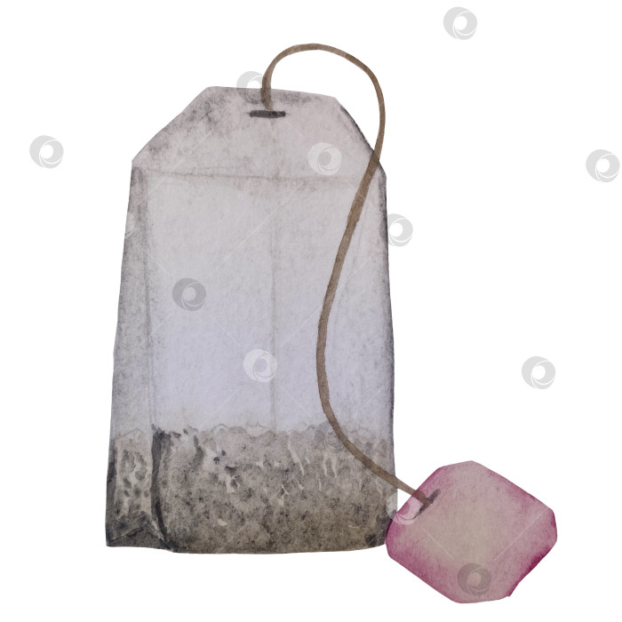 Скачать Свежие листья зеленого чая, чашка чая и чайник для заваривания, набор для чаепития с цветами и ягодами шиповника. Иллюстрация к Международному дню чая. Отдельные элементы, нарисованные акварелью от руки. фотосток Ozero