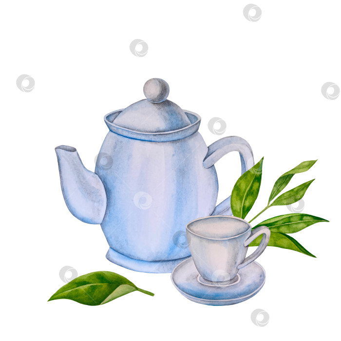 Скачать Свежие листья зеленого чая, чашка чая и чайник для заваривания, набор для чаепития с цветами и ягодами шиповника. Иллюстрация к Международному дню чая. Отдельные элементы, нарисованные акварелью от руки. фотосток Ozero