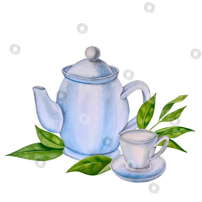 Скачать Свежие листья зеленого чая, чашка чая и чайник для заваривания, набор для чаепития с цветами и ягодами шиповника. Иллюстрация к Международному дню чая. Отдельные элементы, нарисованные акварелью от руки. фотосток Ozero